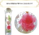 005 バラ 2種 ローズ roses ピンク ハーバリウム herbarium プリザーブドフラワー ドライフラワー 送料無料 ラッピング無料 メッセージカード無料 花 おしゃれ 人気 ギフト プレゼント フラワー 華やか 豪華 インテリア 雑貨 誕生日 お祝い お返し 記念日 3