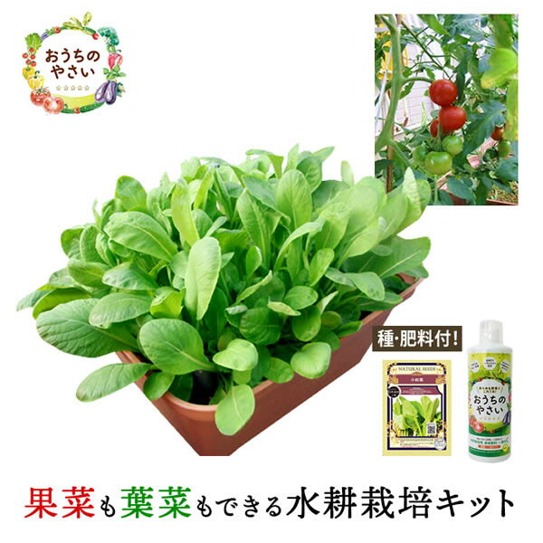 【送料無料】水耕栽培器 水耕栽培キット LEDライト リビングファーム 野菜栽培 植物栽培用 高輝度 LED 600 1本搭載 ココベジスリムRW2（クロームメッキ） 水耕栽培 キット 室内 家庭菜園 野菜 リーフレタス ハーブ バジル 栽培 育苗 育成 野菜づくり