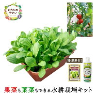 【5月限定特価】水耕栽培 キット 家庭菜園 プランター栽培セット おうちのやさい ...