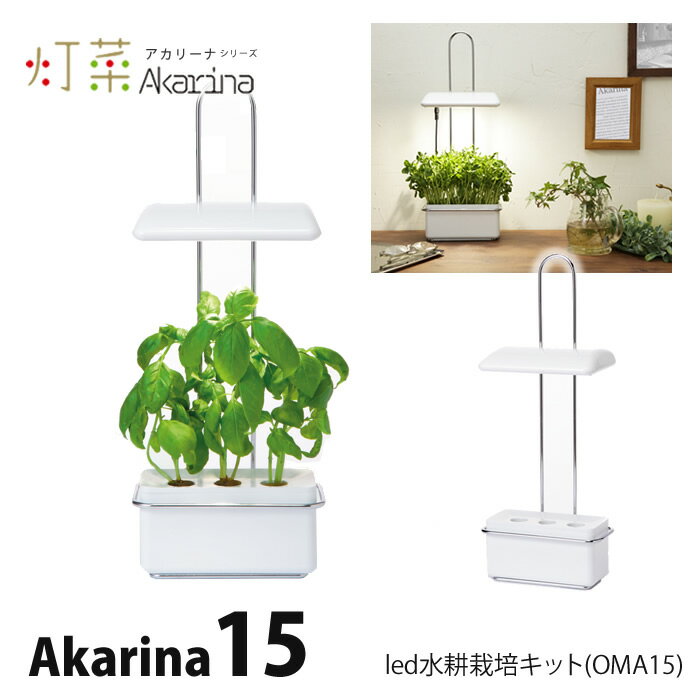 LED 水耕栽培 室内 おしゃれ 家庭菜園 キット 水耕栽培キット アカリーナ Akarina15 OMA15 コンパクト 観葉植物 イン…