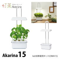 LED 水耕栽培 おしゃれ 家庭菜園 キット 水耕栽培キット アカリーナ Akarina15 OMA15 コンパクト 観葉植物 インテリア 