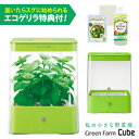 水耕栽培器 GreenFarmCube グリーンファーム キューブ (グリーン) 当店特典付！ LED 水耕栽培キット ユーイング H-CB01G1-G1 【あす楽】