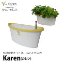 水耕栽培キット ホームハイポニカ Karen カレン イエロー ハイポニカ肥料付 【あす楽】