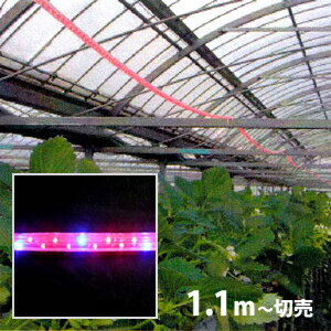 植物 育成 LED ロープライト  （防滴）・切売り ※電源セット別売 植物育成ライト ■直送■
