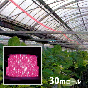 植物育成 LED ロープライト [赤・青] 防滴 30m ロール売り 水耕栽培 ガーデニング 直送 