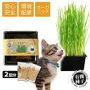 ねこ草 栽培セット オーガニックの種 2回分 有機 【あす楽】