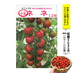 https://thumbnail.image.rakuten.co.jp/@0_mall/eco-guerrilla/cabinet/daiichi/nene.jpg