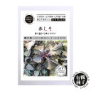 種 有機栽培の種 赤しそ 赤紫蘇 国産 無農薬 水耕栽培 土耕栽培 土栽培 野菜 家庭菜園 自宅 簡単 栽培【種のみネコポス便可】