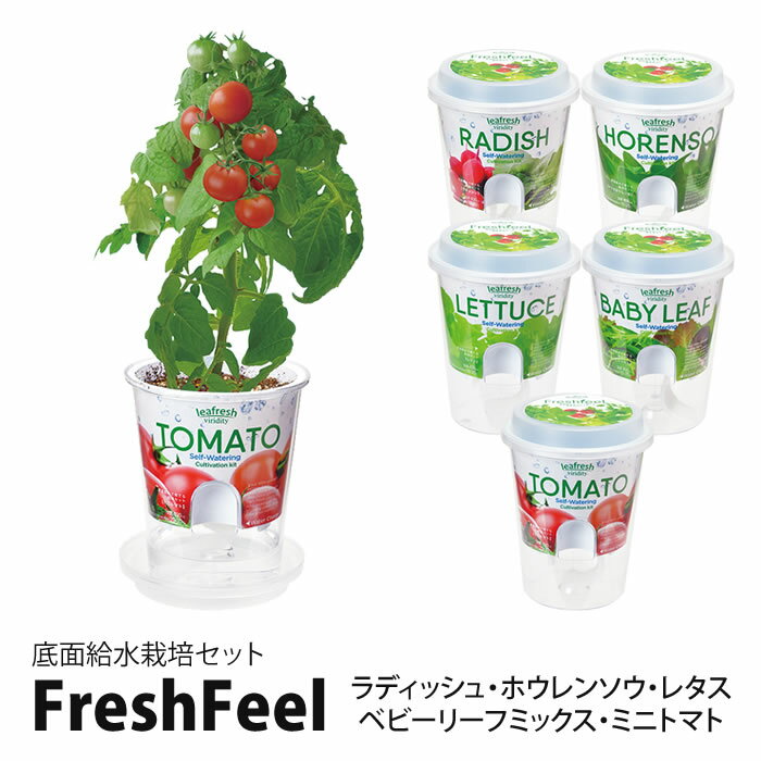 底面給水栽培セット Fresh Feel フレッシュフィール 聖新陶芸 GD-819