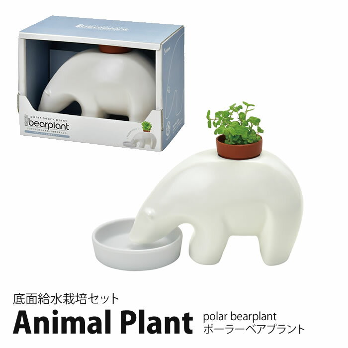 栽培キット 室内 栽培セット プレゼント ハーブ ミント 初心者 聖新陶芸 GD-1008 AnimalPlant アニマルプラント 底面給水栽培セット ポーラ...