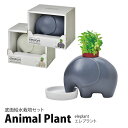 栽培キット 室内 栽培セット プレゼント ハーブ 初心者 聖新陶芸 GD-955 AnimalPlant アニマルプラント 底面給水栽培セット エレプラント ア...