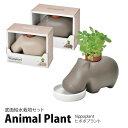 栽培キット 室内 栽培セット プレゼント ハーブ 初心者 聖新陶芸 GD-982 AnimalPlant アニマルプラント 底面給水栽培セット ヒポポプラント ...