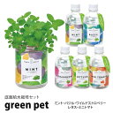 水耕栽培 キット ペットボトル 底面給水栽培セット ハーブ 水耕栽培キット 自宅 簡単 栽培 栽培キット ミント バジル レモンバーム ワイルドストロベリー レ...