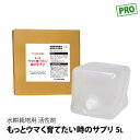 水耕栽培 肥料 活性剤 もっとウマく育てたい時のサプリ うまサプ 5L(5kg) 液肥 追肥 液体肥料 農業 肥料 トマト 農業資材 農業用 家庭菜園 園芸用品 畑 野菜 栽培 ガーデン 農業用資材 ガーデニング ■直送■