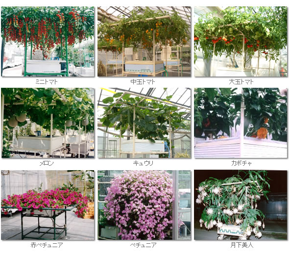 ��̺��ݥ��å� ��̺��� ���å� ���ݥ��å� �ϥ��ݥ˥� 303 ��̺������� ��̺��ݴ� ��� �����ڱ� ���� ��ñ ���� ���� ���� ��������