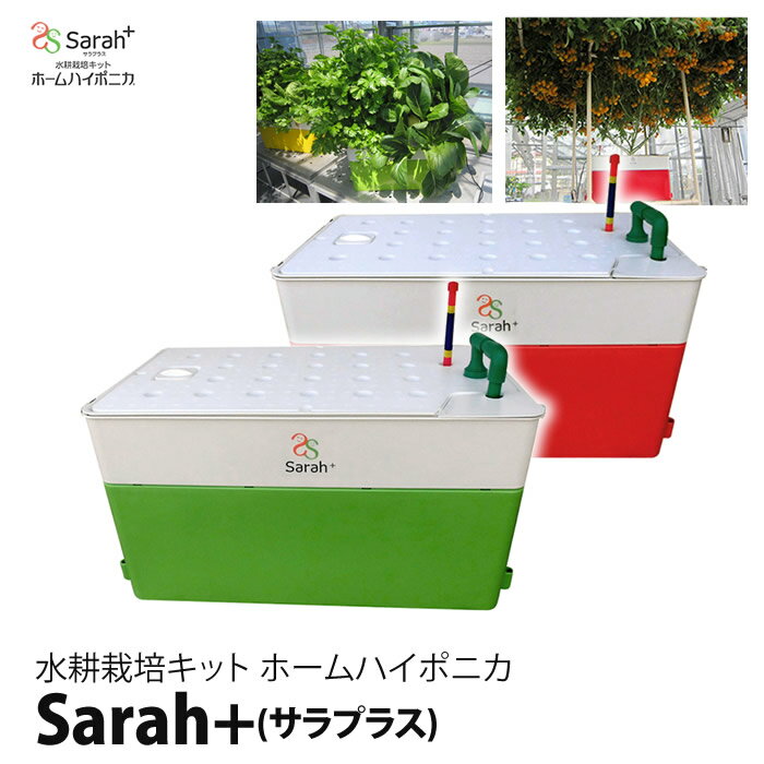 水耕栽培キット ホームハイポニカ Sarah+ サラプラス ハイポニカ肥料 付 【あす楽】