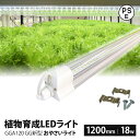 植物育成ライト led 水耕栽培 ledライト GG新型おやさいライト 日本製 1200mm GGA120 直送