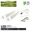 2ܥåȡۿʪ饤 led ̺ led饤 GG䤵饤  615mm GGA615 ľ