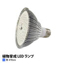 A琬 LED vij100W PAR30-470nm y㋉Ҍz