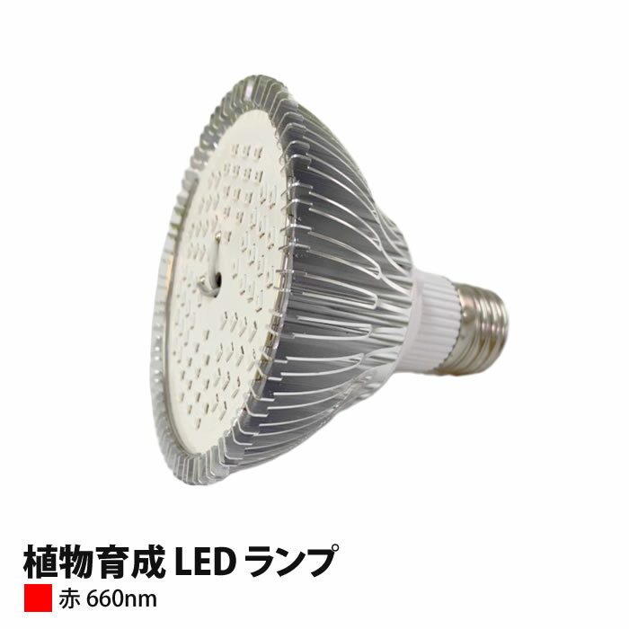 商品詳細 名称 植物育成 LED ランプ （赤）100W相当 PAR30-660nm 本体サイズ H=95mm φ95mm 重量 160g 照射角度 120° 50cm直下照度 500Lx 消費電力 7W 入力電圧 AC100V 発光面積 5.6mm&#178;(7.2×78pcs) 発光色 赤色 660nm 認証 PSE規格 放射力 60mw×78pcs PPFD 16μmol/m&#178;/s 特長 ・経済的でエコな7wタイプ。 ・一般的なE26型ソケットに対応しています。 ※電気機器、照明器具によってはサイズが合わない場合があります。 ・室内など、太陽光が入りにくい場所で植物を育てる際に、光合成に有効な光を集中させ植物へ照射します。 その他 メーカー3年保証 ご注意 在庫切れ中の場合、納期に1か月ほどかかる場合がございます。ご了承ください。植物の光合成に有効！この1台で十分な補助ライトとして利用できます！ 大学・研究機関・マニアなどの皆様からのリクエスト商品！ 植物育成LEDランプ（赤）660nm ● ハイグレードな超高輝度LEDなのにエコ！！ ● 水耕栽培以外での活用にも人気！ ● 光の届かない観葉植物にどうぞ！ ◆シリーズ展開 タイプ 特長 AP-400(紫外) 植物を丈夫に成長させ、植物の花や葉の色をよくします。 殺菌作用　※人体（皮膚）への影響はありません AP-470(青) 植物の葉・茎の形成に有効。 AP-660(赤) 植物の光合成に有効なライト。この1台で十分な補助ライトとして利用可能。 AP-740(遠赤) 植物の光合成に有効なライト。 タイプ 波長 放射力 50cm直下照度 PPFD(15cm) AP-400(紫外) 400nm 70mW×78pcs 198Lx 5μmol/m&#178;/s AP-470(青) 470nm 85mW×78pcs 868Lx 64μmol/m&#178;/s AP-660(赤) 660nm 60mW×78pcs 500Lx 16μmol/m&#178;/s AP-740(遠赤) 740nm 53mW×78pcs 12Lx 3μmol/m&#178;/s