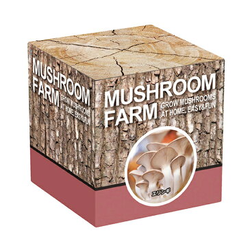 【クーポンで半額 4/21(土)9:59迄】【在庫特価】エリンギ 栽培キット <マッシュルームファーム> プチ栽培 きのこ栽培 ギフト プレゼント