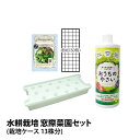 水耕栽培キット 栽培キット 窓際菜園セット 栽培ケース 13株分 液肥 液体肥料 スポンジ 培地 種 有機種子 付 栽培セット 家庭菜園 自宅 簡単 栽培