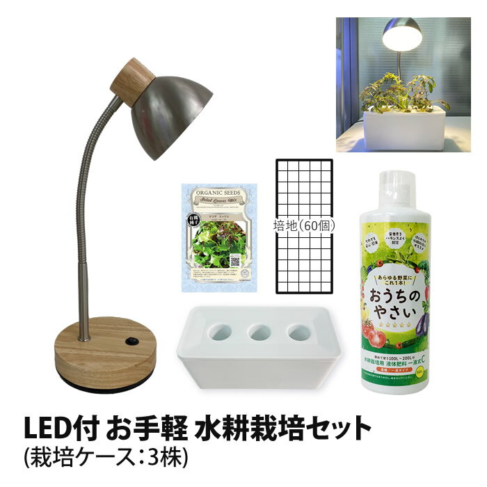 LED付 お手軽 水耕栽培セット 3株分 栽培ケース 液体肥料 スポンジ培地 種 付