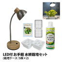 LED付 お手軽 水耕栽培セット 5株分×2 栽培ケース 液体肥料 スポンジ培地 種 付