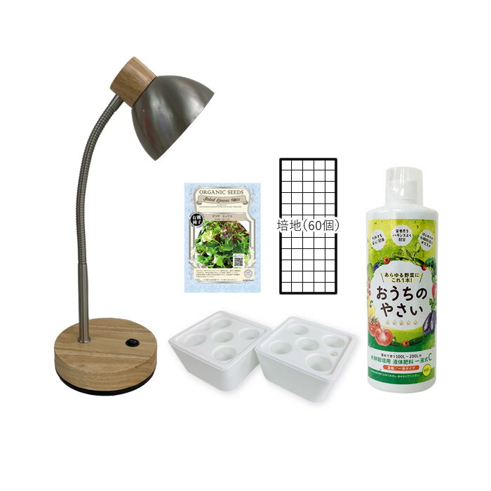 ��̺��ݥ��å� LED�� ����� ��̺��ݥ��å� 5��ʬ��2 ���ݥ����� �������� ���ݥ����� �� �� ��̺��ݥ��å� ���ݥ��å� ���ݥ��å� �����ڱ� ���� ��ñ �������