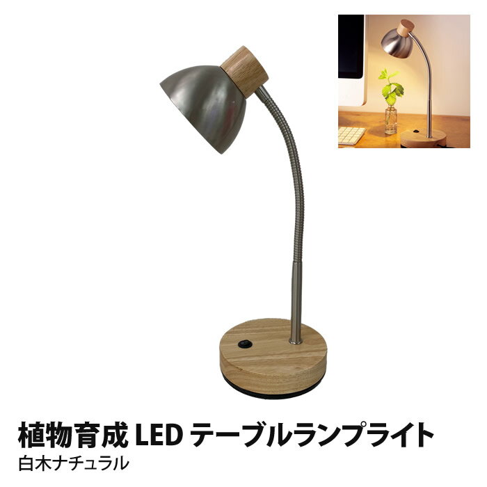 植物育成 LED テーブルランプ ライト 白木ナチュラル スタンドライト