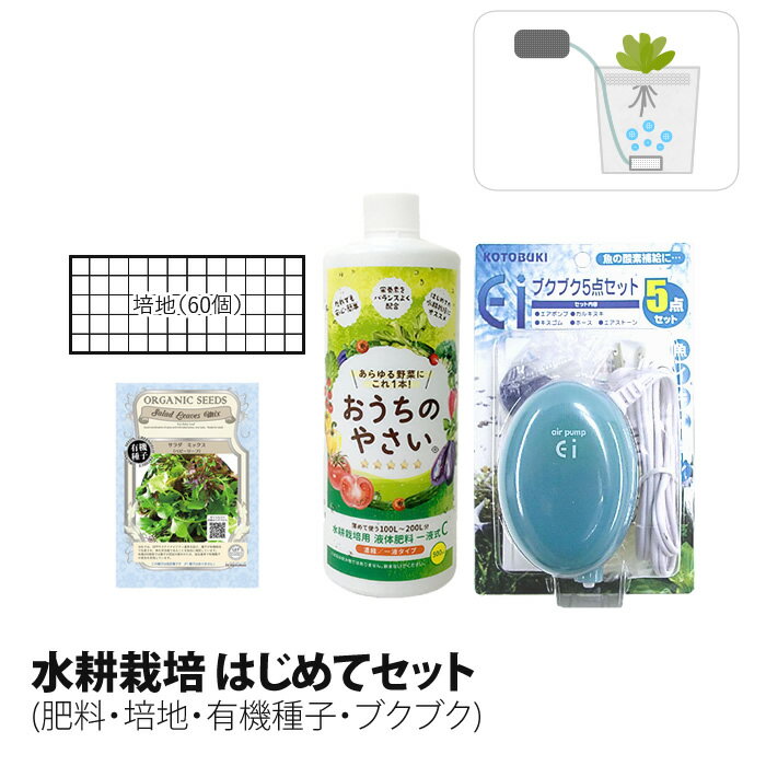 水耕栽培 肥料 液肥 スポンジ培地 種 有機種子 エアレーション エアーポンプ 付 はじめてセット 栽培セ..