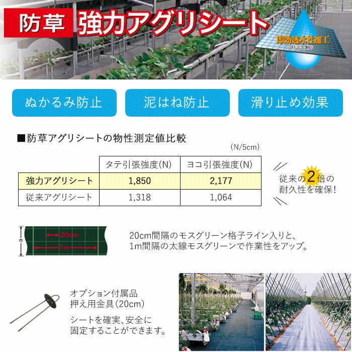 ���ޥƥ饹���� �ϥ��������� ���𥷡��� �Ԥä��ꥻ�å� ��ľ����