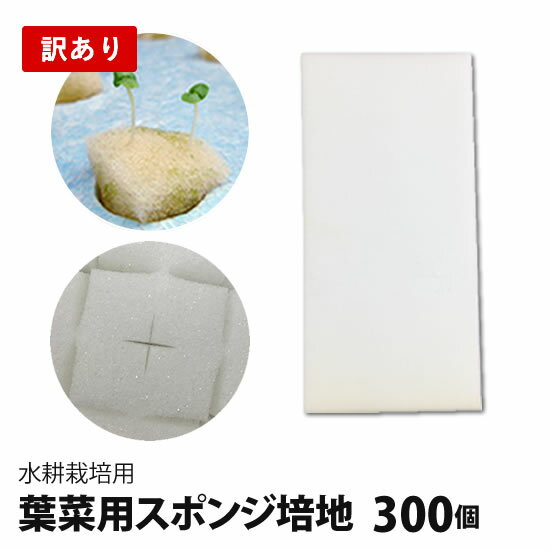 訳あり特価 水耕栽培 スポンジ 葉菜用培地 300個 スポンジ培地 自作 種まき ウレタン 培地