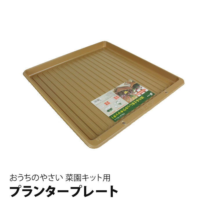 プランター プレート 受け皿 おうちのやさい 菜園キット 鉢 ベランダ