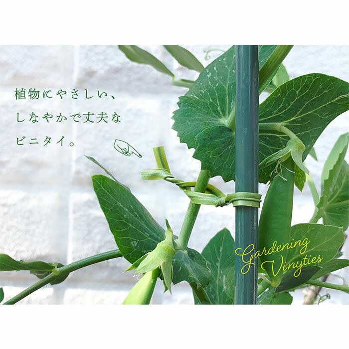 園芸用 ビニタイ (カッター付) 30m カッター付 そえ木や支柱とめに