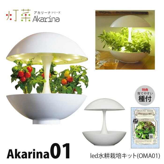 LED 水耕栽培 おしゃれ 家庭菜園 キット 水耕栽培キット アカリーナ Akarina01 OMA01RN2 観葉植物 インテリア【取寄商品】