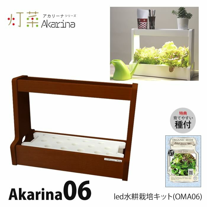 LED k͔| Lbg Akarina06 AJ[i OMA06