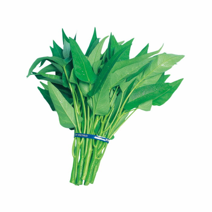 専用★空芯菜の種【1kg】 栄養満点！ 空芯菜 (1kg)：千葉県産のその他葉物野菜｜食べチョク