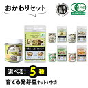 【選べる5種】水耕栽培キット スプラウト 栽培セット オーガニック 発芽豆 おかわりセット 栽培キット 無農薬 水耕栽培 家庭菜園 自宅 簡単 栽培