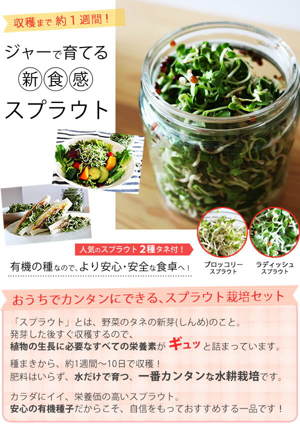 �֥��å��꡼���ץ饦�� ��ǥ��å��她�ץ饦�� �� ͭ����� ��Υ��ץ饦�� ���ݥ��å� ��̺��� ��̺��ݥ��å� �����ڱ� ���� ��ñ ���� ��12������¨��ȯ����