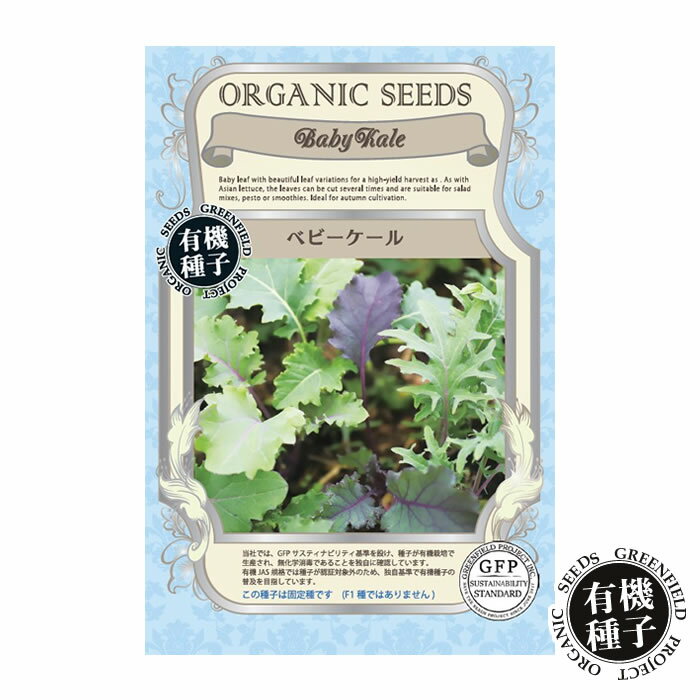 種 有機種子 ケール ベビーケール 青汁 無農薬 水耕栽培 土耕栽培 土栽培 野菜 家庭菜園 自宅 簡単 栽..