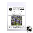  種 有機種子 ドラゴンヘッド モルドバ エディブルフラワー 食用花 食べる花 ハーブ 