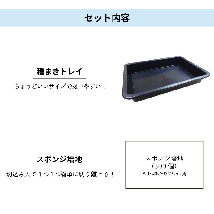 ��̺��� ��ޤ� �������������å� �鿴�� ��̺��ݥ��å� ���ݥ��å� ���ݥ��å� �����ڱ� ���� ��ñ ����