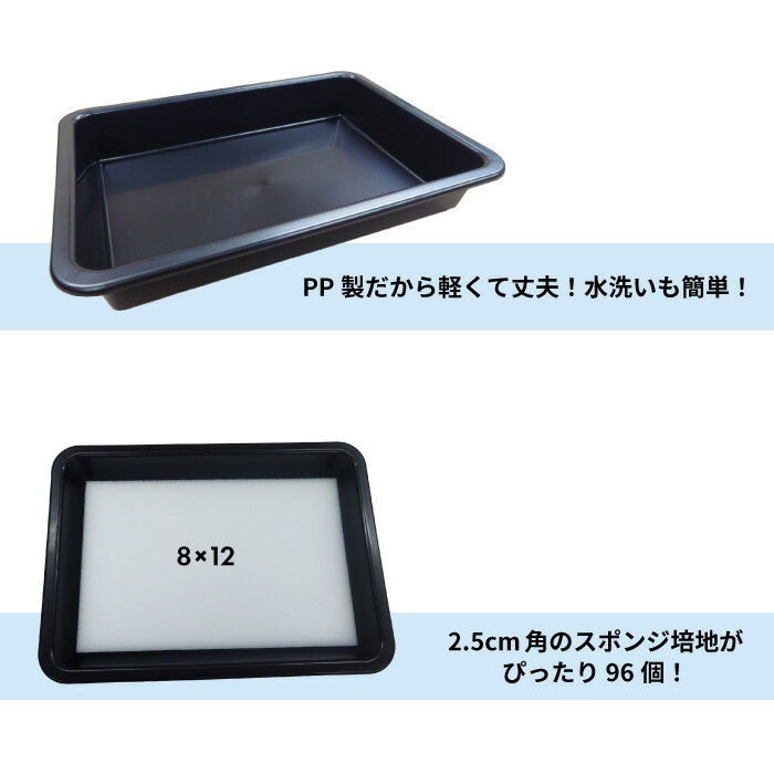 ��̺��� ��ޤ� �ȥ쥤 �ȥ졼 ��̺��ݥ��å� ���ݥ��å� ���ݥ��å� �����ڱ� ���� ��ñ ����