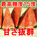 甘さ、シャリ感抜群、これを食べたら、他のがなんなの？って感じ！リピーター続出ですお中元贈り物に最適高級小玉スイカ【マダーボール】●中2玉（約2．5Kgx2個）愛媛県/岡田さんが減農薬で栽培！最高糖度15度！極上西瓜/すいか