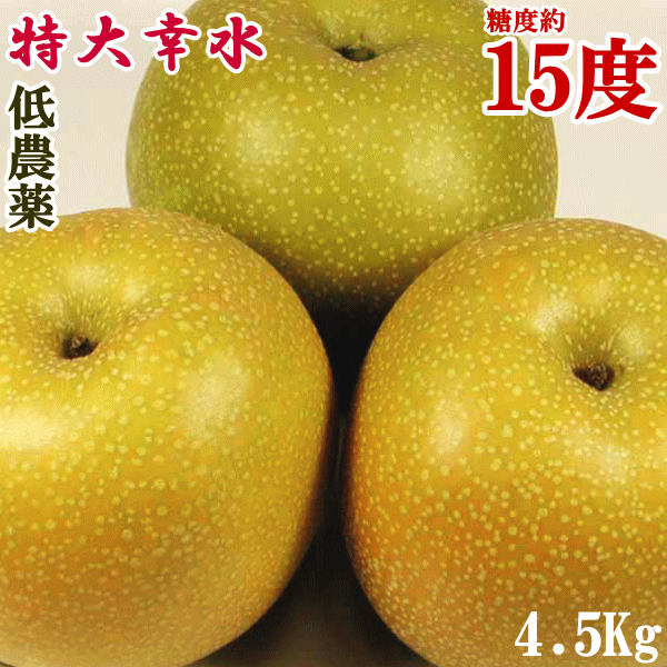 梨 （ご予約品：9月上旬頃発送予定）高糖度梨特大幸水約4.5Kg（7玉～11玉）長野県/保科さんが最高峰有機肥料で栽培 梨　超甘い　甘い　水分たっぷり　瑞々しい高糖度　梨　厳選 梨【楽ギフ_のし】