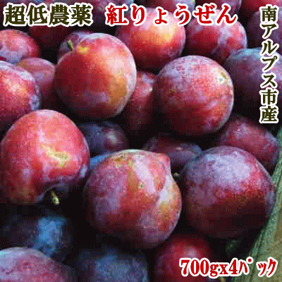 （ご予約品：6月下旬ごろ発送予定、20箱限定）プラム、紅りょうぜん 約2.8Kg（約24-32玉前後）厚芝さんが有機肥料100…