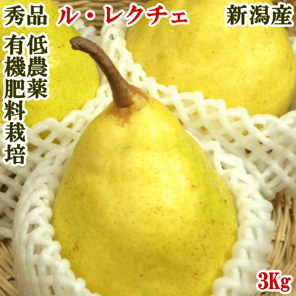 高級西洋梨ル・レクチェ秀品/約3kg（8-12玉）新潟県/西村さんが減農薬完全有機肥料栽培ルレクチェ　厳選　るれくちぇ