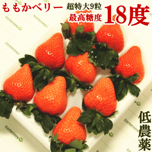 （●ご予約品：1月発送　20箱限定）いちご、イチゴ、苺、贈答用超特大プレミアムももかベリー極み化粧箱入り9粒入り(約400g） 高糖度　イチゴ　ホワイトデー お返し　甘い　ももいちご超高級　減農薬【楽ギフ_のし】【楽ギフ_のし宛書】