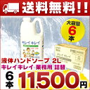 【送料無料】キレイキレイ 薬用 液体ハンドソープ 2L × ...
